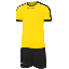 Braulios F.C